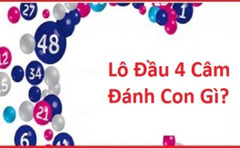 Kinh nghiệm đánh lô đầu 4 câm dễ trúng nhất